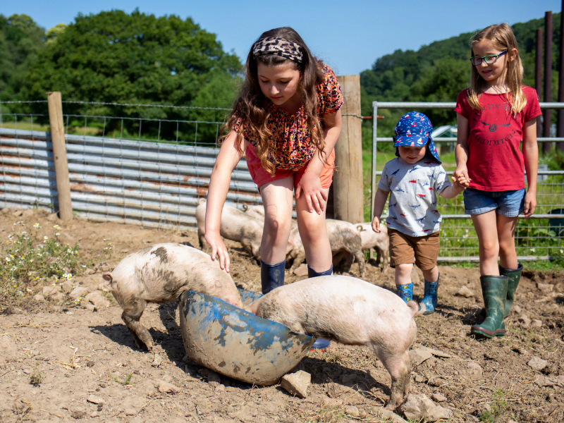 baby and toddler friendly cottage on a farm in devon