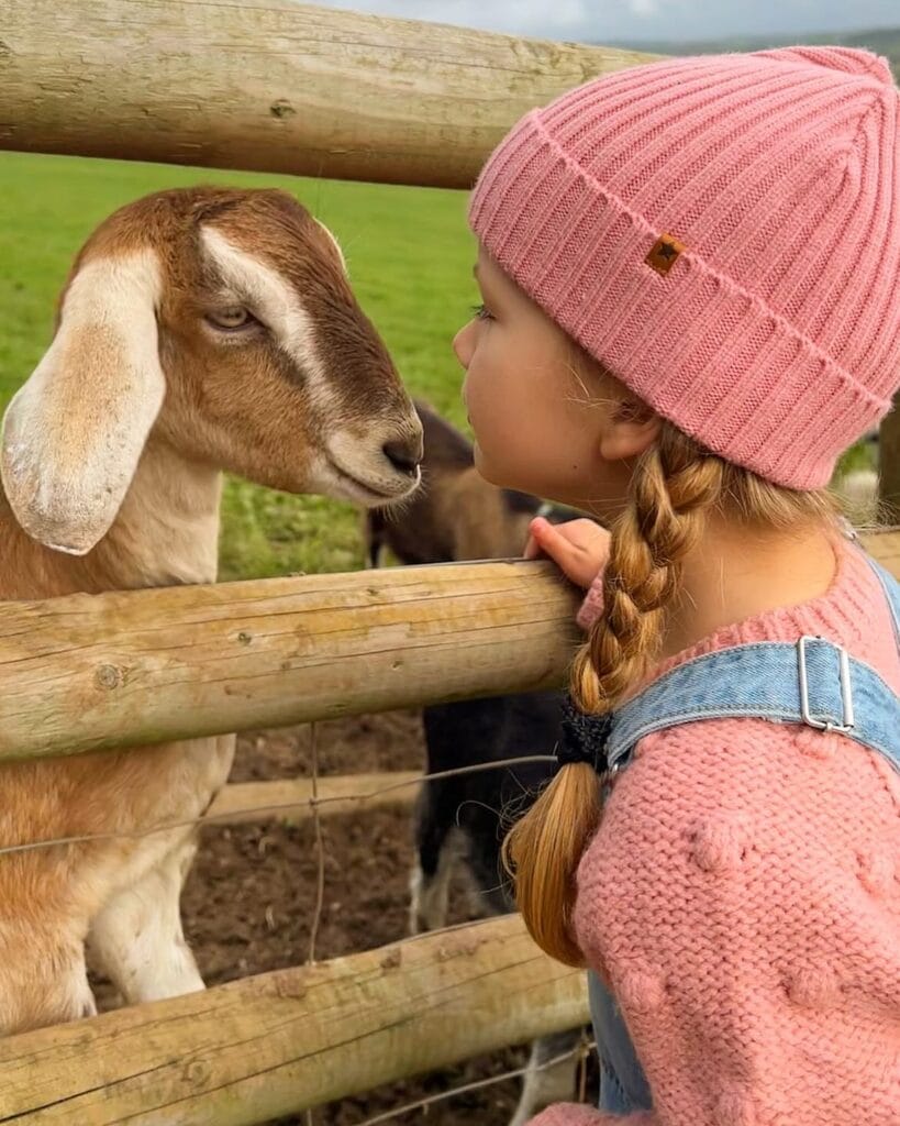 toddler friendly days out devon