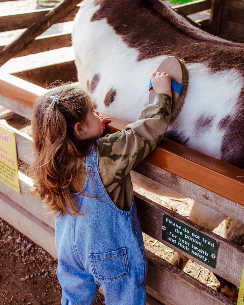toddler friendly days out devon