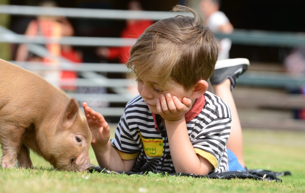 toddler friendly day out in devon