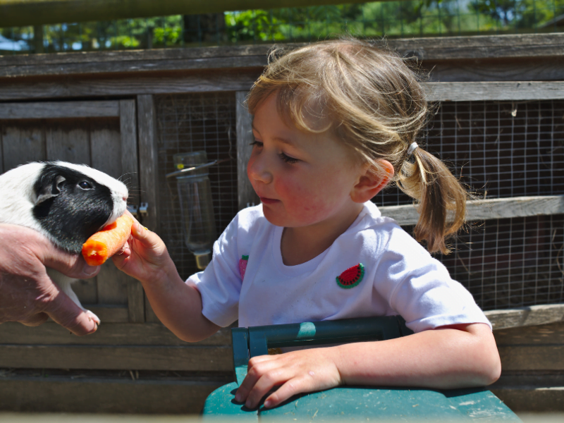 baby and toddler friendly cottage devon