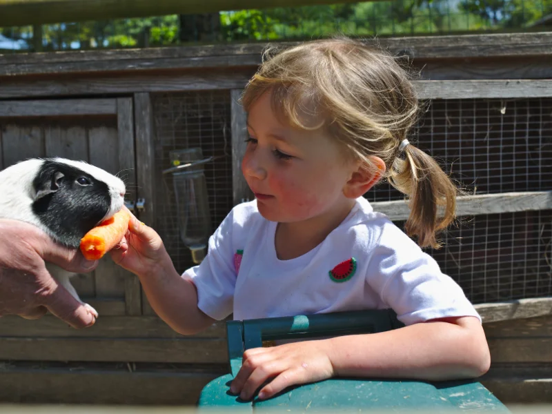 baby and toddler friendly cottage devon