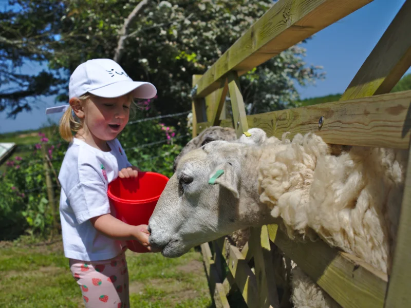 baby and toddler friendly cottage devon