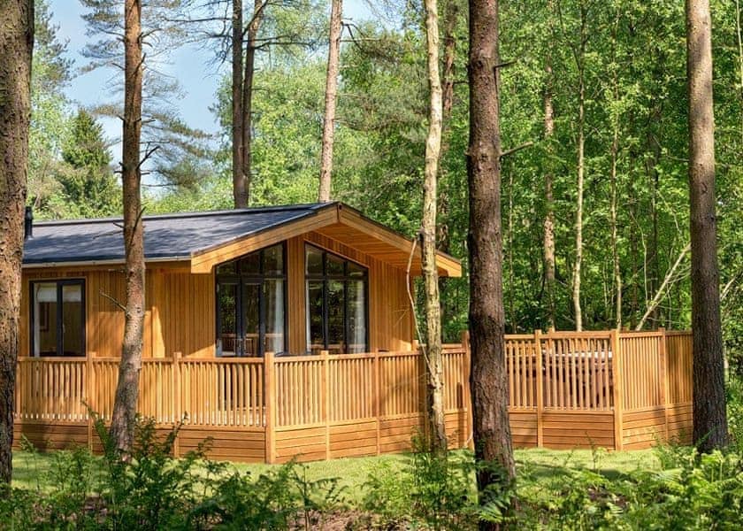 Center Parcs alternatives for toddlers