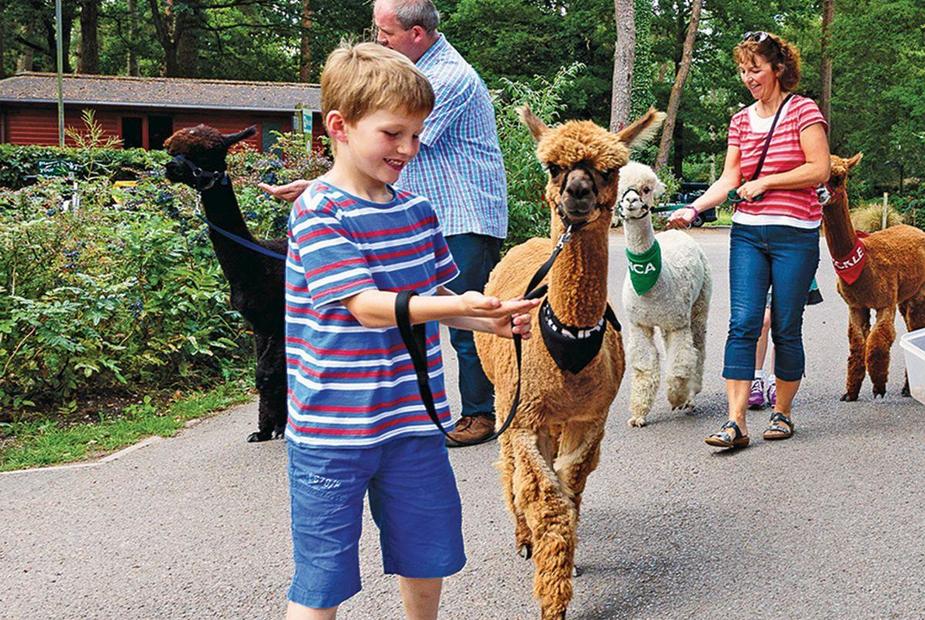 Center Parcs alternatives for toddlers