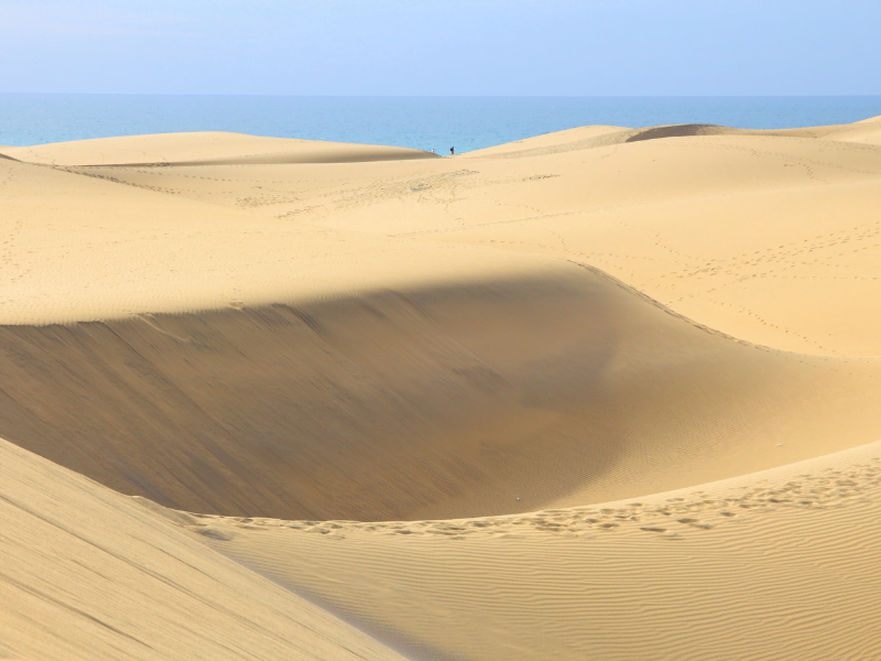 best canary island for toddlers