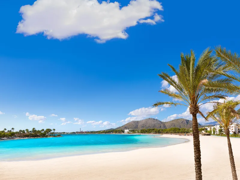 alcudia majorca