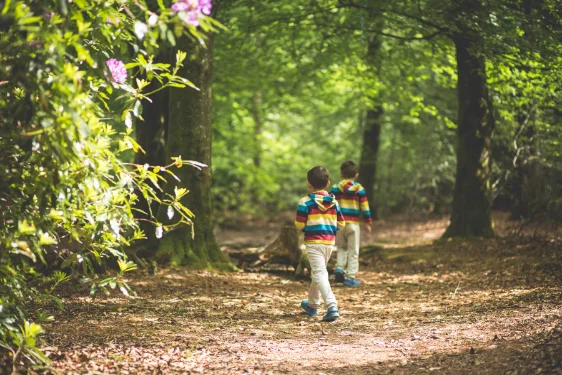 holiday park for babies and toddlers devon