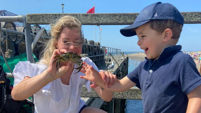 baby and toddler friendly cottages wales