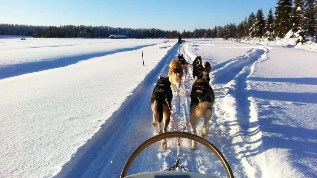 family friendly ski hotel