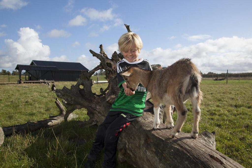 toddler friendly alternative to center parcs in europe