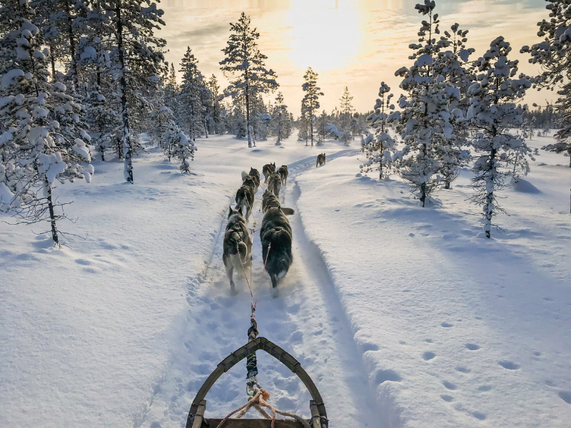 family friendly lapland hotels