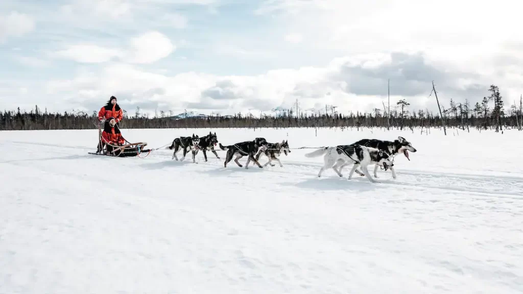 family friendly hotel lapland