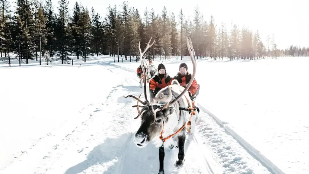 family friendly hotel lapland