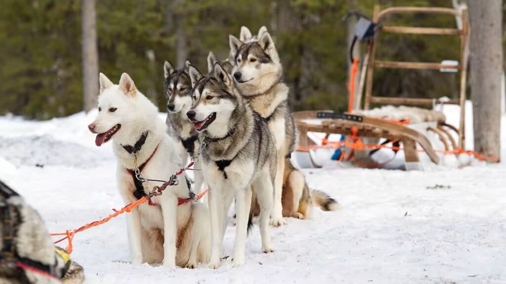 family friendly ski resort Europe