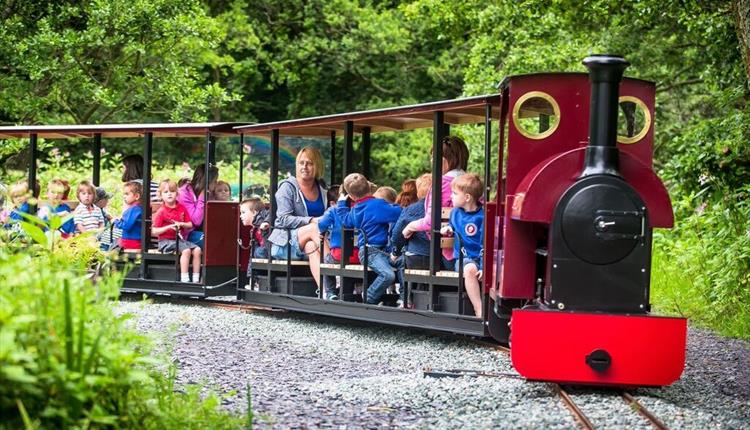 toddler friendly days out wales