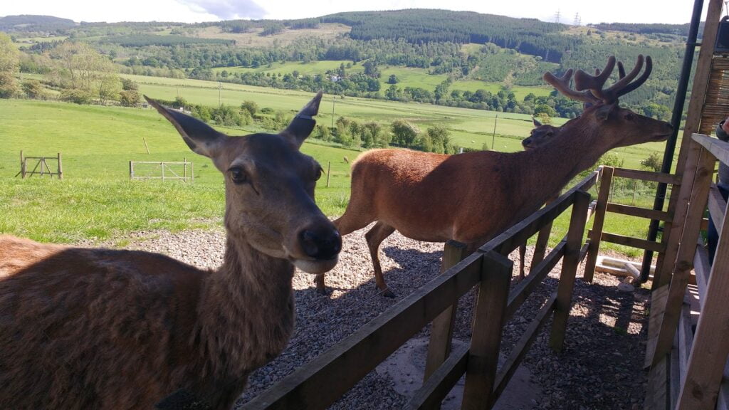 toddler friendly day out scotland