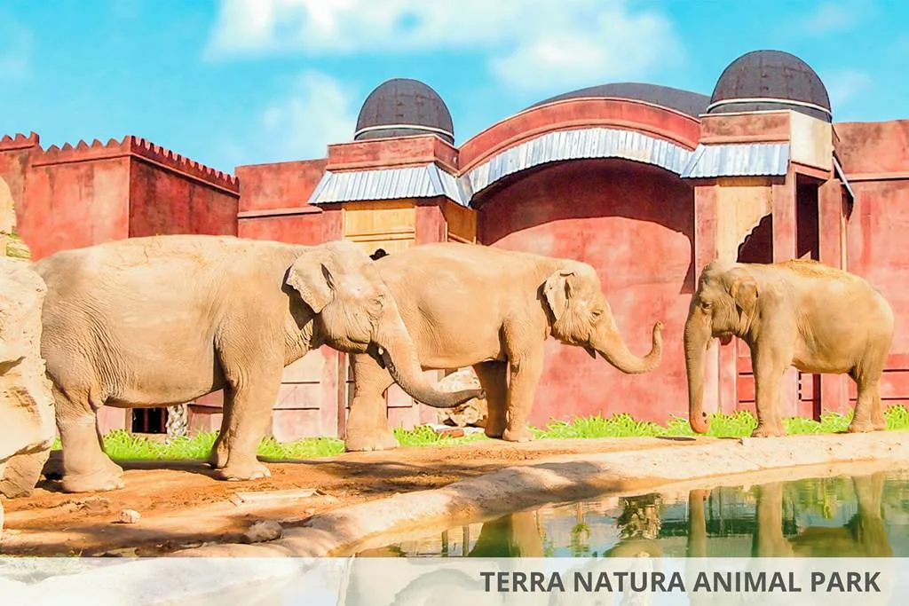 Hotels With Theme Parks & Waterparks