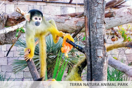 baby and toddler friendly hotel spain