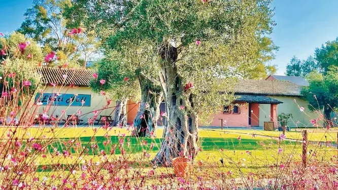 baby and toddler friendly hotel corfu