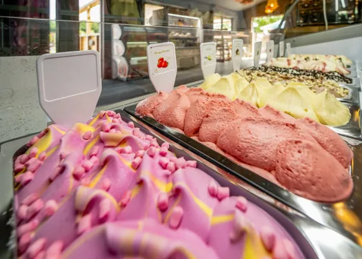 baby and toddler friendly holiday park devon