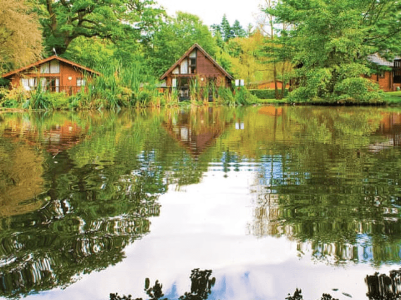 holiday park in the forest