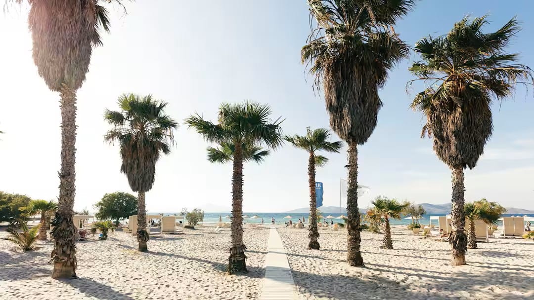 Zafiro Cala Mesquida