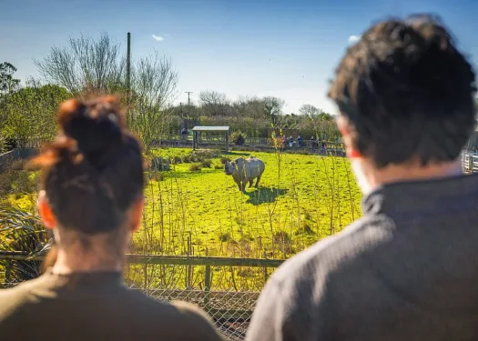 toddler friendly holiday park wales