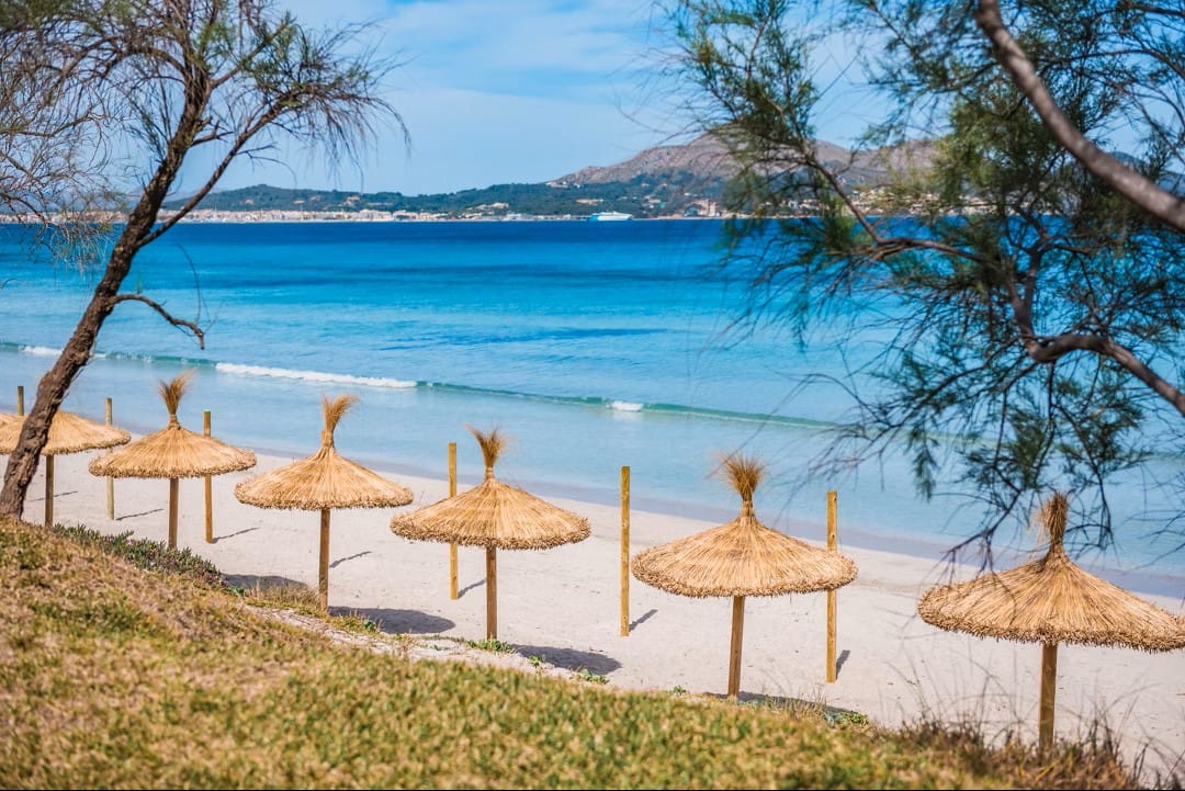 beachftont hotel